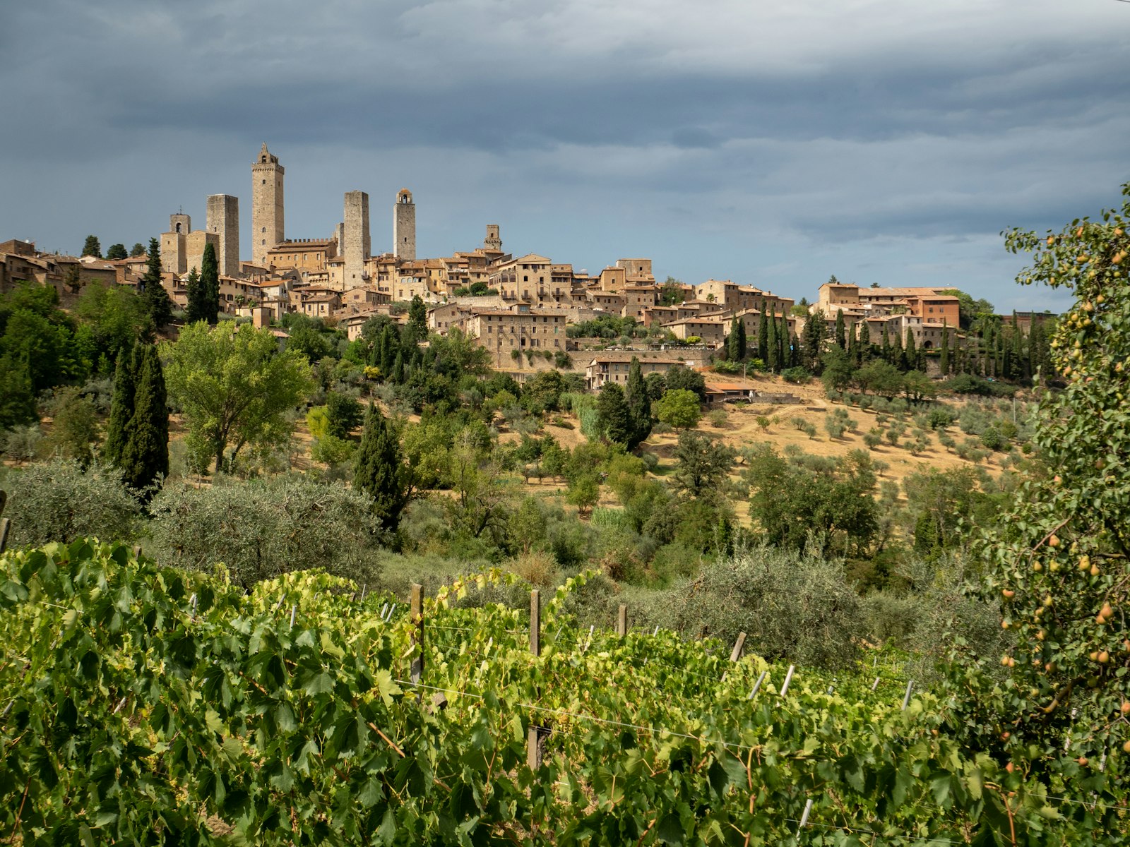 The medieval towers of San Gimignano rising over the Tuscan hills